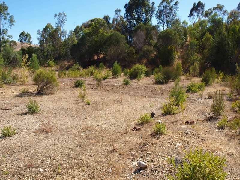 50 Allandale Road, Strath Creek VIC 3658