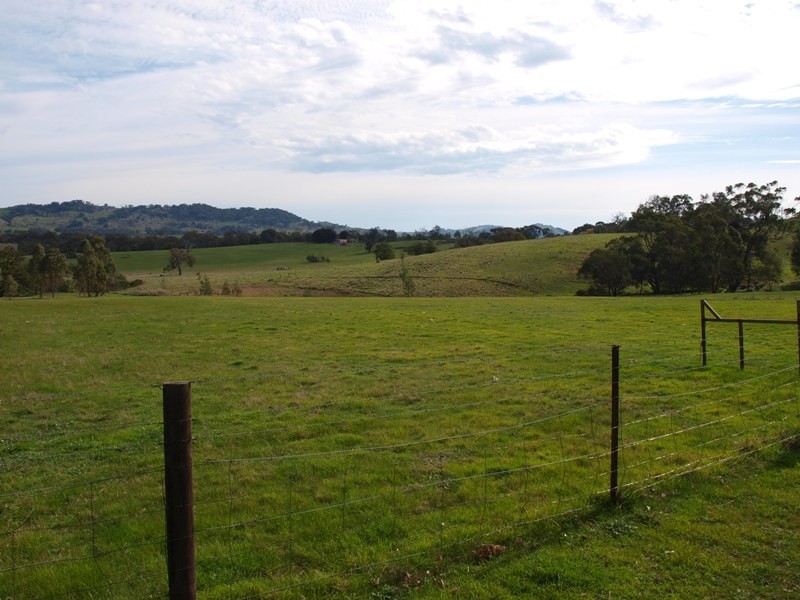 600 Ladderhill Road, Tooborac VIC 3522