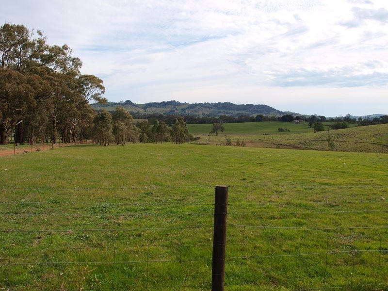 600 Ladderhill Road, Tooborac VIC 3522