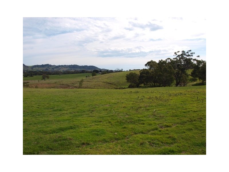 600 Ladderhill Road, Tooborac VIC 3522