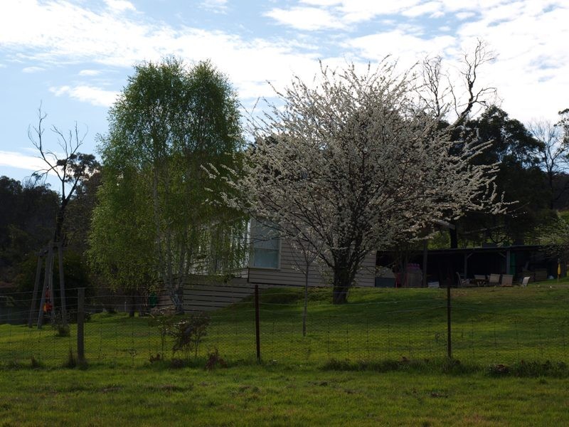 600 Ladderhill Road, Tooborac VIC 3522