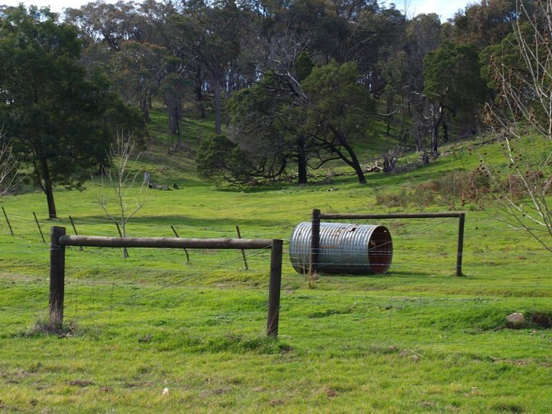 600 Ladderhill Road, Tooborac VIC 3522