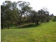 600 Ladderhill Road, Tooborac VIC 3522