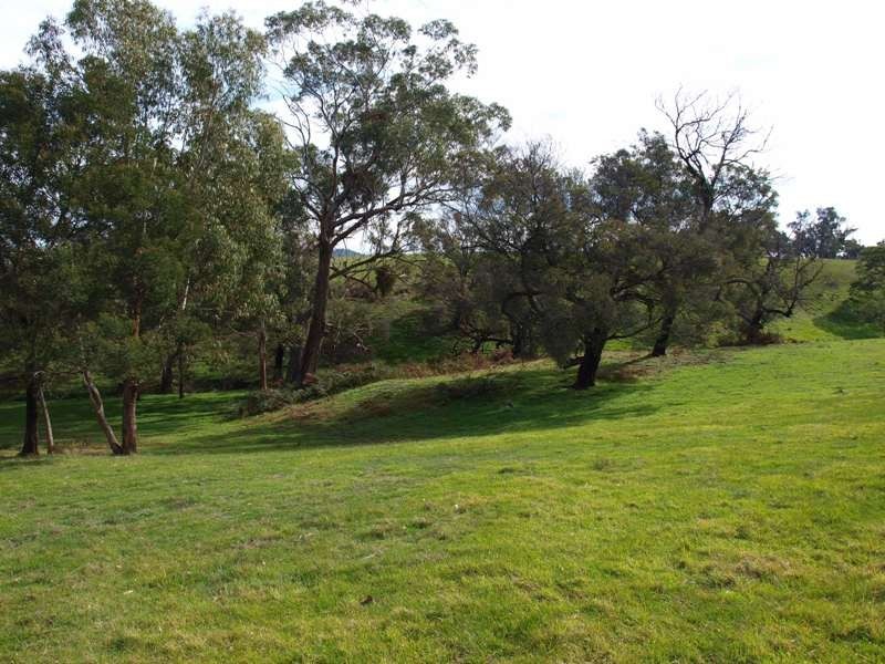600 Ladderhill Road, Tooborac VIC 3522