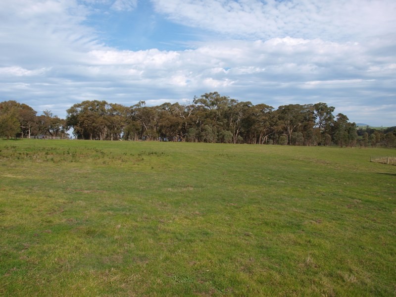 600 Ladderhill Road, Tooborac VIC 3522