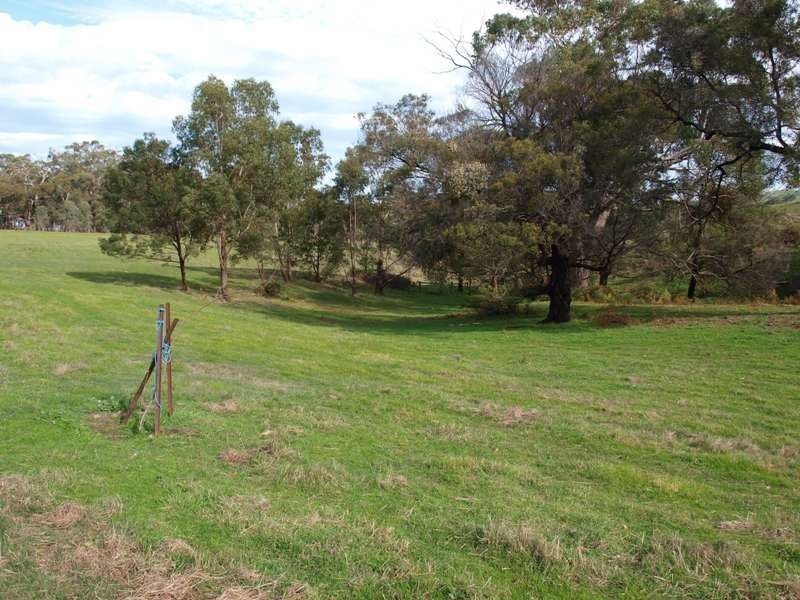 600 Ladderhill Road, Tooborac VIC 3522