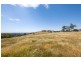 1491 Kilmore Lancefield Road, Lancefield VIC 3435