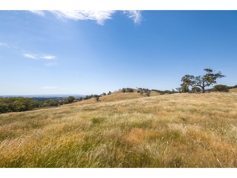 1491 Kilmore Lancefield Road, Lancefield VIC 3435