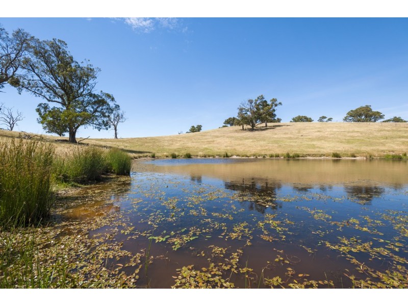 1491 Kilmore Lancefield Road, Lancefield VIC 3435
