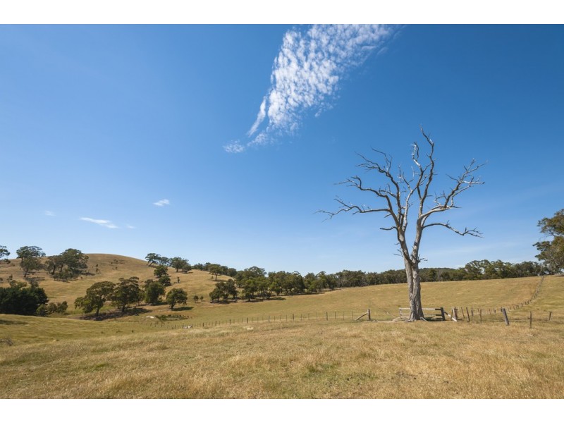 1491 Kilmore Lancefield Road, Lancefield VIC 3435