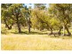 1491 Kilmore Lancefield Road, Lancefield VIC 3435