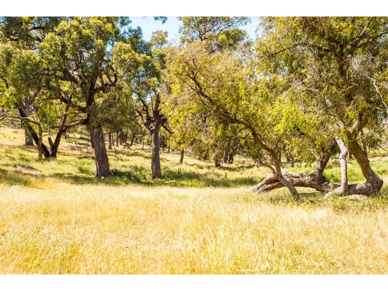 1491 Kilmore Lancefield Road, Lancefield VIC 3435