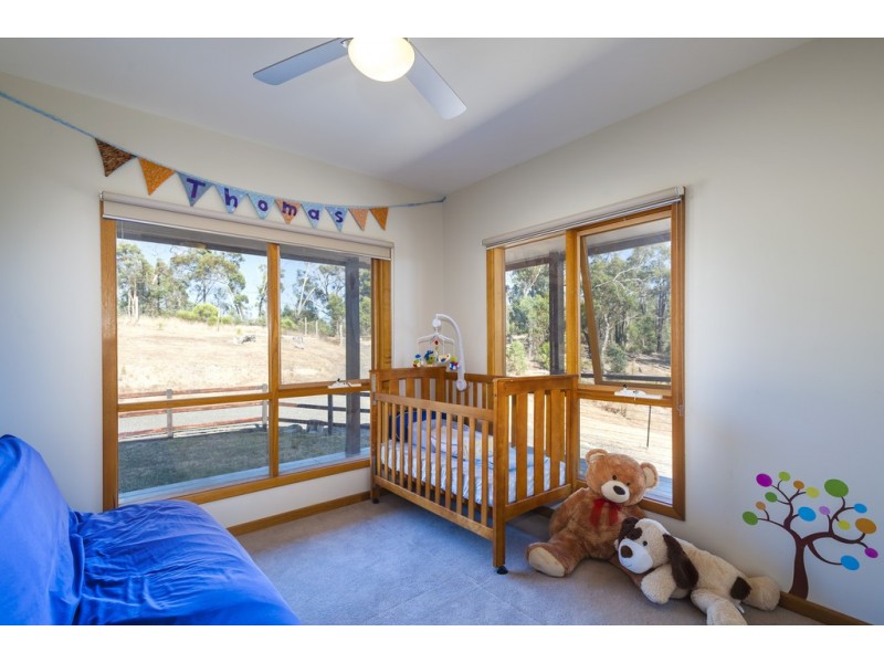 230 Doctors  Creek Road, Clonbinane VIC 3658