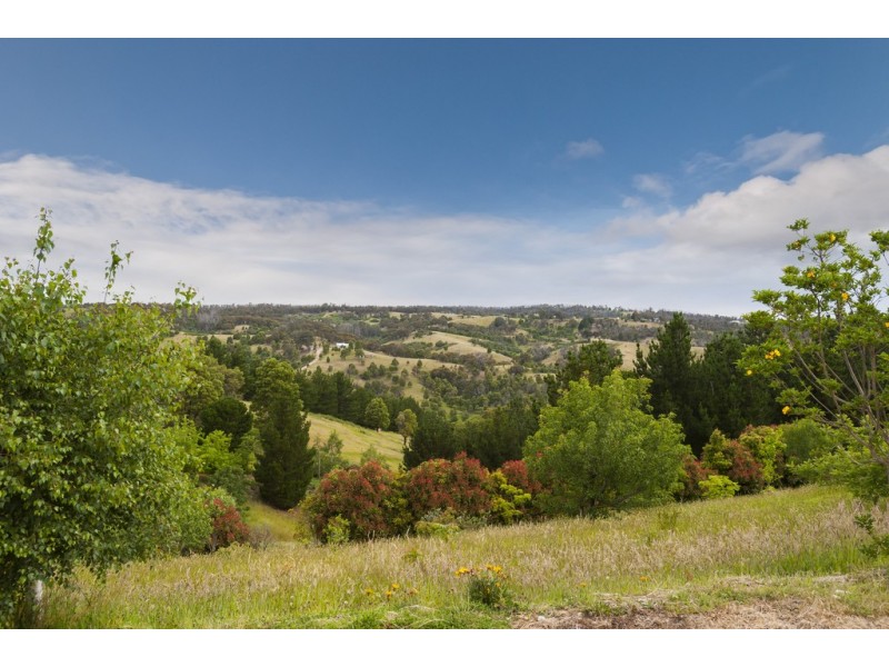 120 Reid Road, Broadford VIC 3658