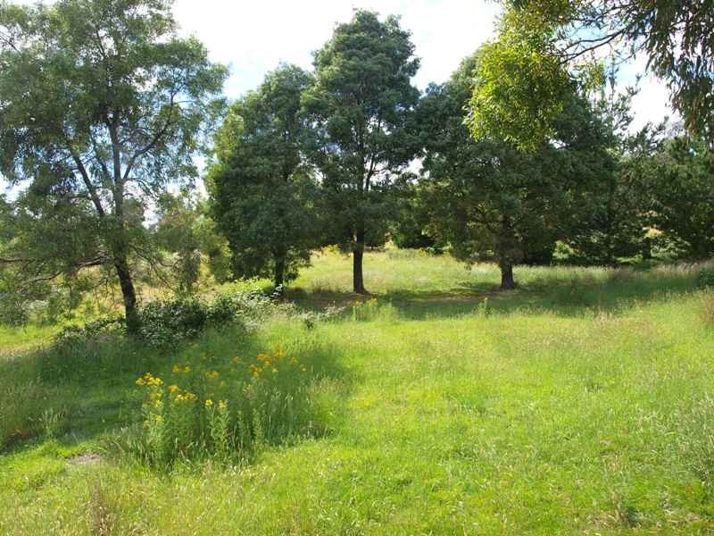 120 Reid Road, Broadford VIC 3658