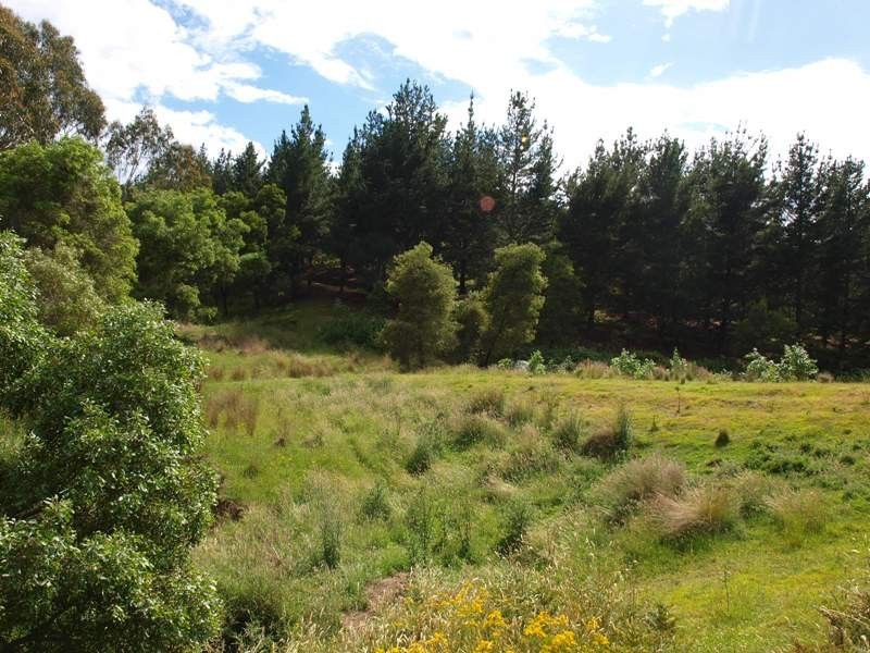 120 Reid Road, Broadford VIC 3658