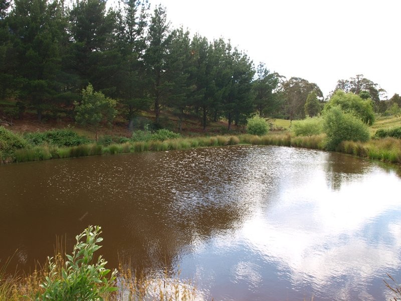 120 Reid Road, Broadford VIC 3658