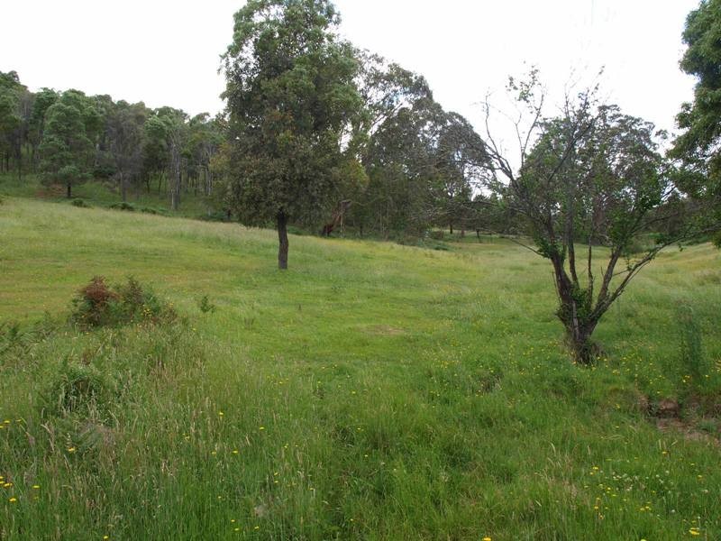 120 Reid Road, Broadford VIC 3658