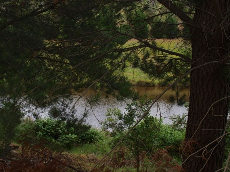 120 Reid Road, Broadford VIC 3658