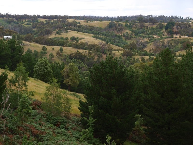 120 Reid Road, Broadford VIC 3658