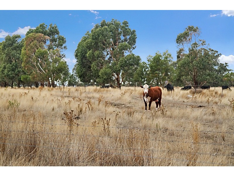 Lot 4 Craigielea Drive, Kilmore VIC 3764