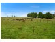 1175 Northern Highway, Kilmore VIC 3764