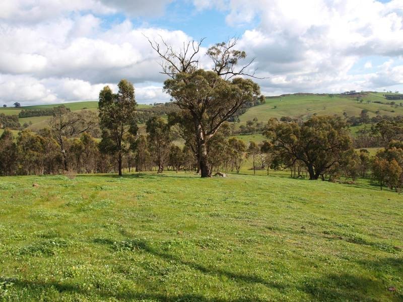 Lot 3 Kilmore East-Sunday Creek Road, Kilmore East VIC 3764