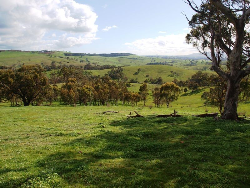 Lot 3 Kilmore East-Sunday Creek Road, Kilmore East VIC 3764