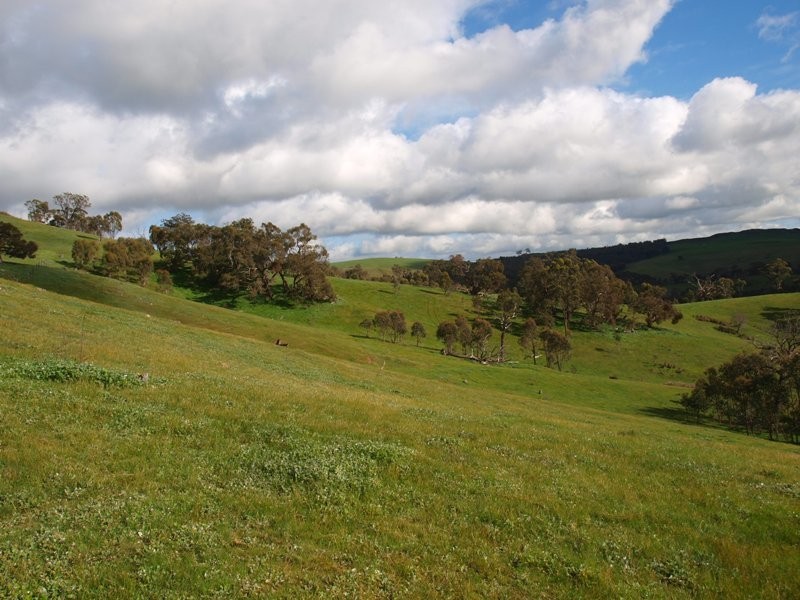 Lot 3 Kilmore East-Sunday Creek Road, Kilmore East VIC 3764