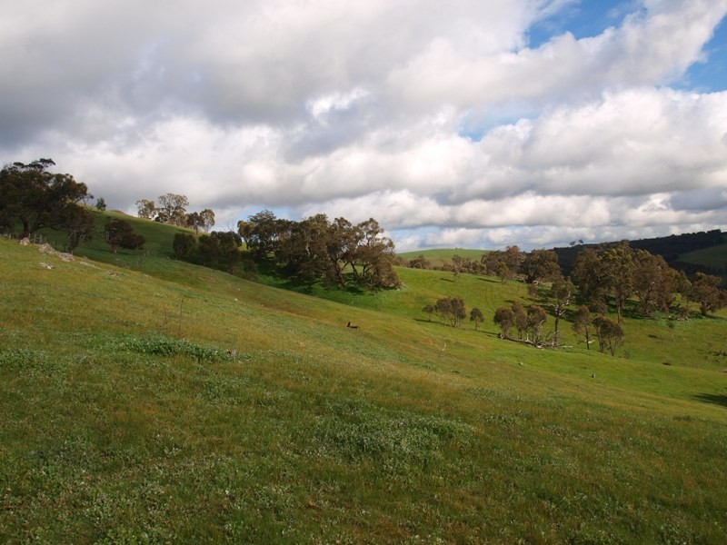 Lot 3 Kilmore East-Sunday Creek Road, Kilmore East VIC 3764