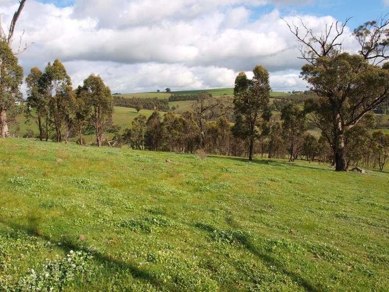 Lot 3 Kilmore East-Sunday Creek Road, Kilmore East VIC 3764