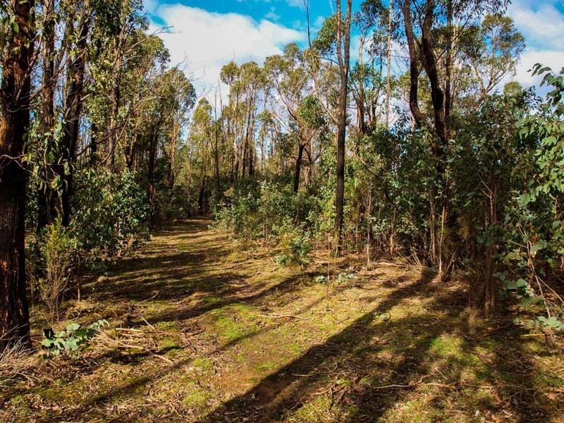 Lot 7 Doctors Creek Road, Clonbinane VIC 3658