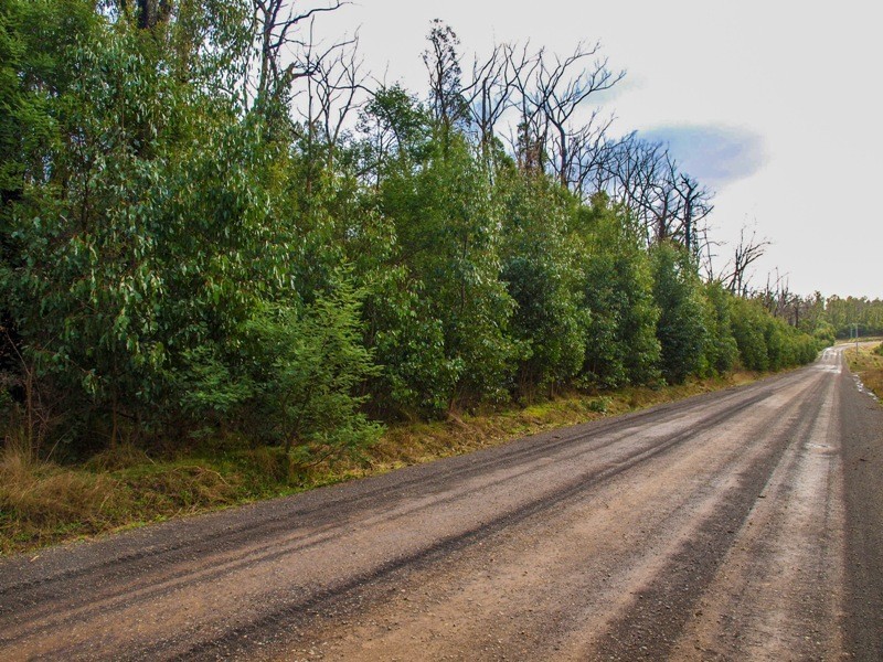 Lot 7 Doctors Creek Road, Clonbinane VIC 3658