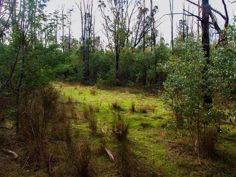 Lot 7 Doctors Creek Road, Clonbinane VIC 3658
