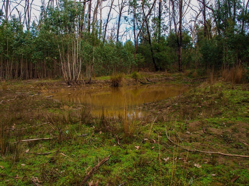 Lot 7 Doctors Creek Road, Clonbinane VIC 3658