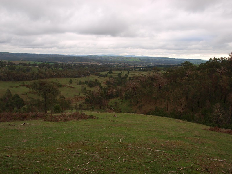 Lot 1 355 Spur Road, Clonbinane VIC 3658