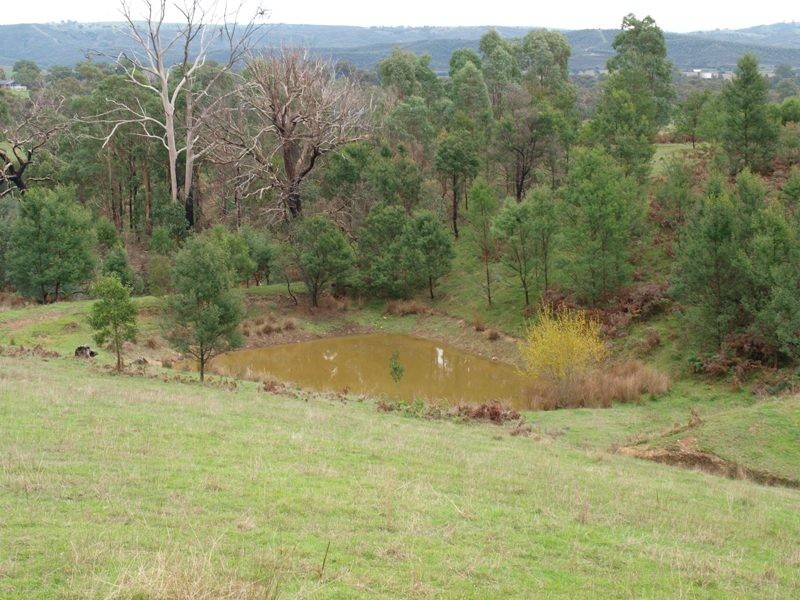 Lot 1 355 Spur Road, Clonbinane VIC 3658