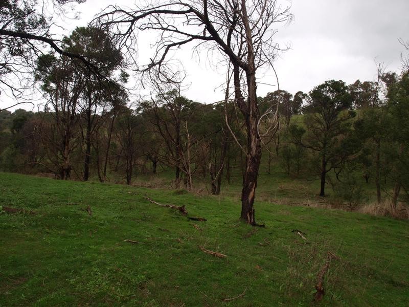 Lot 1 355 Spur Road, Clonbinane VIC 3658