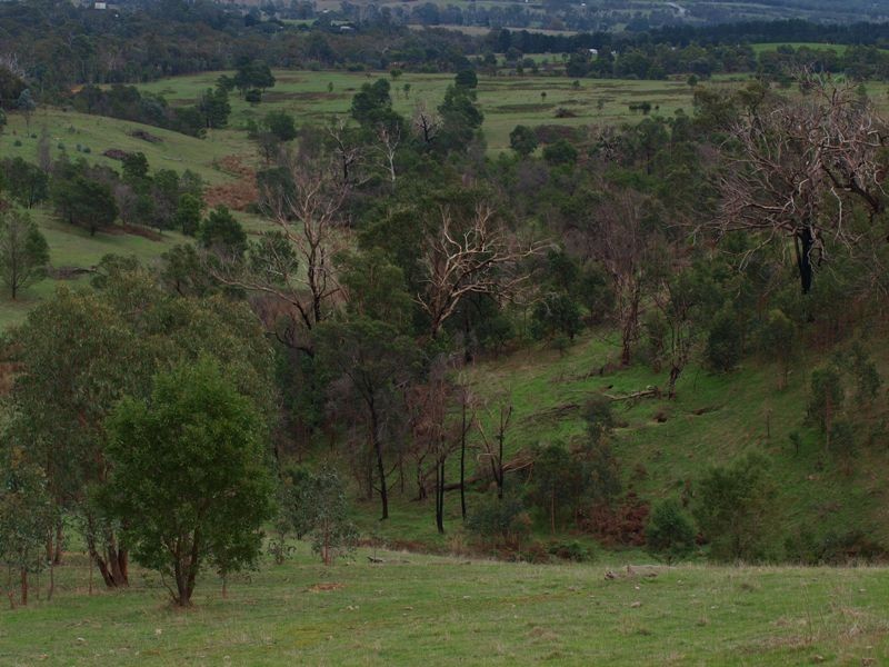 Lot 1 355 Spur Road, Clonbinane VIC 3658