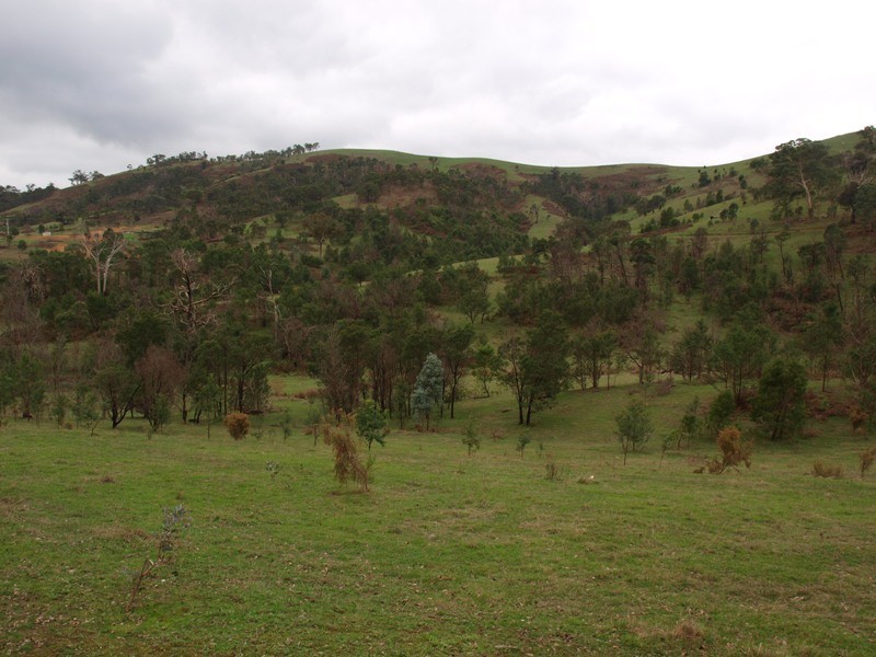 Lot 1 355 Spur Road, Clonbinane VIC 3658