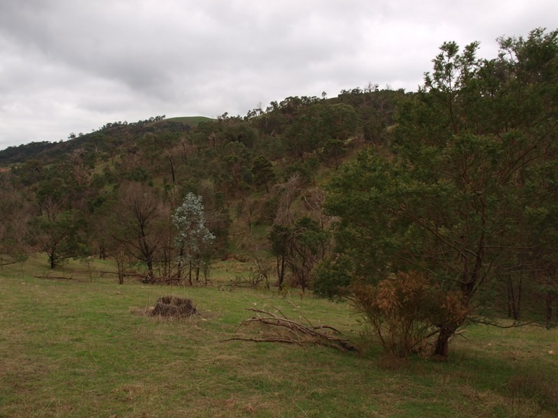 Lot 1 355 Spur Road, Clonbinane VIC 3658