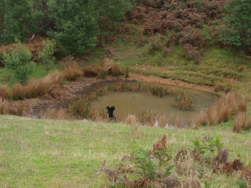 Lot 1 355 Spur Road, Clonbinane VIC 3658