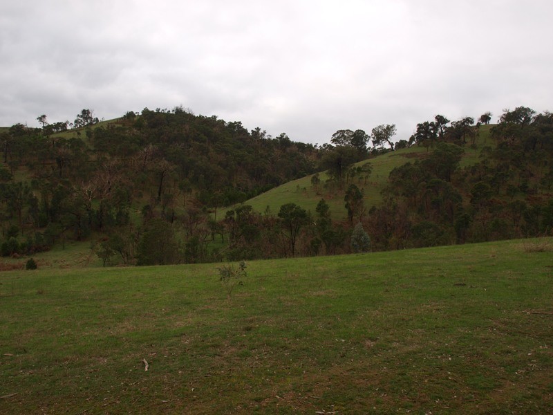 Lot 1 355 Spur Road, Clonbinane VIC 3658