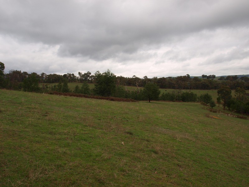 Lot 1 355 Spur Road, Clonbinane VIC 3658