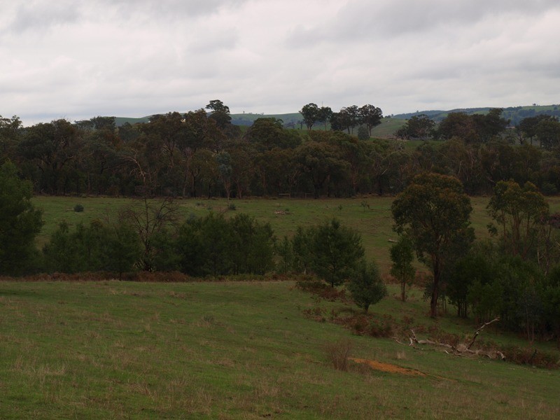 Lot 1 355 Spur Road, Clonbinane VIC 3658