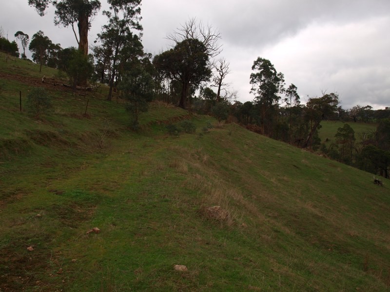 Lot 1 355 Spur Road, Clonbinane VIC 3658