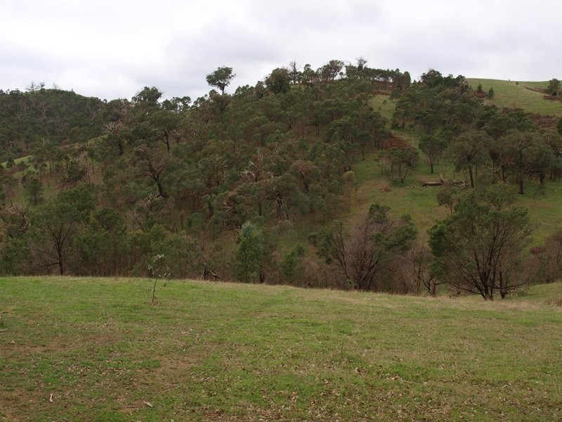 Lot 1 355 Spur Road, Clonbinane VIC 3658