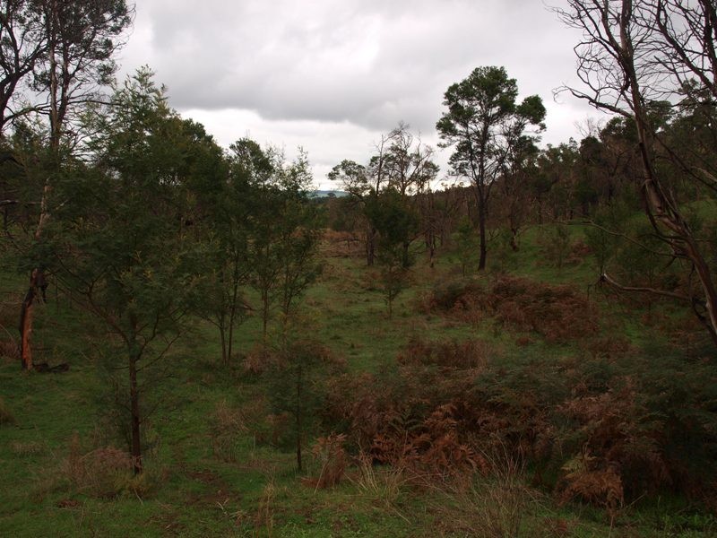 Lot 1 355 Spur Road, Clonbinane VIC 3658