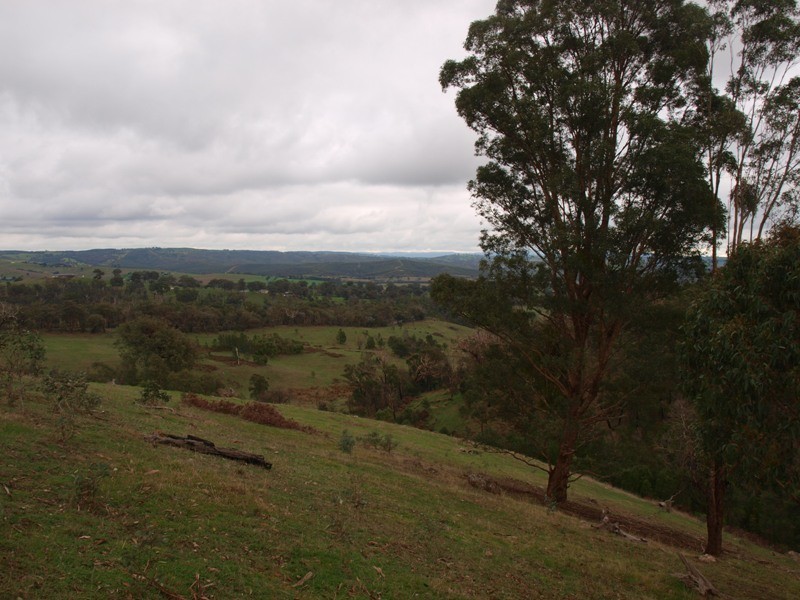 Lot 1 355 Spur Road, Clonbinane VIC 3658