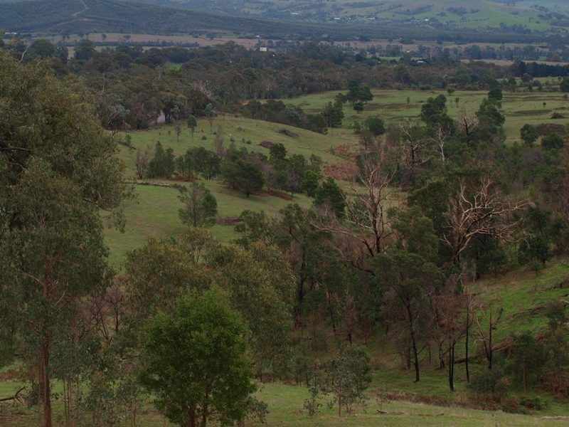 Lot 1 355 Spur Road, Clonbinane VIC 3658